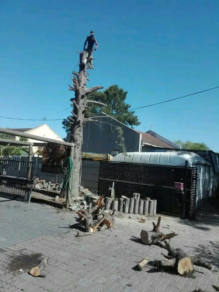 WhatsApp-Image-2023-06-01-at-12.17.31