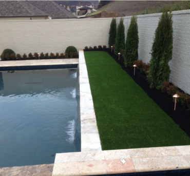 Installations-Traditional-Landscape-Nashville-by-Southwest-Greens-of-Nashville-Houzz